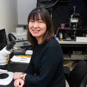 Wei Wei (Photo by Jean Lachat)